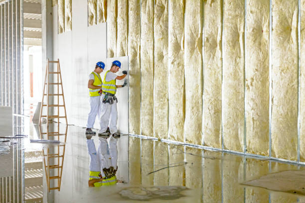 Best Insulation Maintenance and Repair in Gramercy, LA